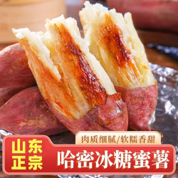 鲁禧海岸 哈密冰糖薯净4.5斤