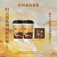 霸王茶姬 归云南系列双杯套餐（赠归云南系列冰箱贴摆件*1）