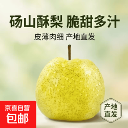 无品牌【果园直发】正宗砀山酥梨薄皮脆甜 酥梨带箱5斤【净重4.5斤】 260g