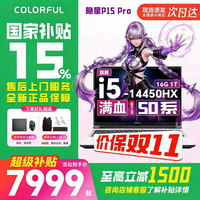 七彩虹 隐星P15Pro/G15新款50系游戏本 酷睿14代 学生超值性价比 RTX5050电竞独显 高刷 办公笔记本电脑 隐星-14450HX-5050/16G 1T 白 15.6英寸|电竞高刷屏