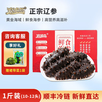 浪渔岛大连原生态鲜食海参即食海参礼盒化冻即食 送长辈营养滋补佳品 1斤装（10-12头）