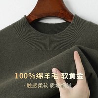 杉杉 100%纯羊毛 圆领套头毛衣 男士针织衫