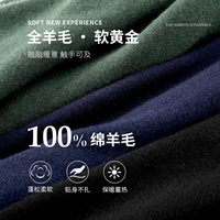 与狼共舞 圆领羊毛衫男2025秋冬新款男士针织衫毛衣