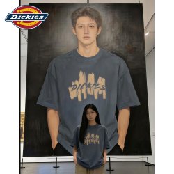 Dickies 铁灰色美式纯棉短袖T恤男款2026新款夏季潮流印花休闲体恤
