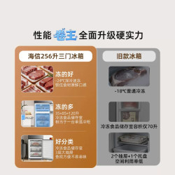 海信 BCD-256E3SRNKD 风冷无霜 一级能效 三门冰箱