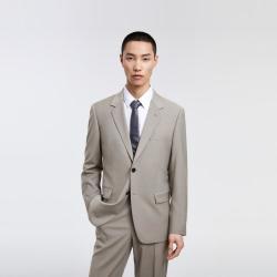 太平鸟 男装春秋款商务休闲羊毛西装男士正装男式西服