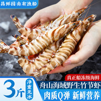 昌鲜园 野生竹节虾鲜活船冻斑节虾舟山生鲜海鲜冷冻海虾黑虎虾特大九节虾 1500g(净重) 17-20cm