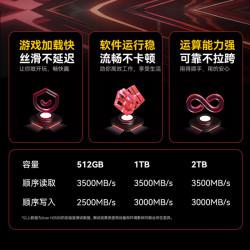 PREDATOR acer 宏碁 N3500系列 NVMe M.2 固态硬盘 256GB（PCI-E 3.0）