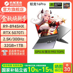 机械革命 蛟龙16 Pro 2025款 锐龙8000 16英寸 游戏本 灰色（R9-8945HX、RTX 5070 Ti 12G、32GB、1TB+2560*1600、300Hz）