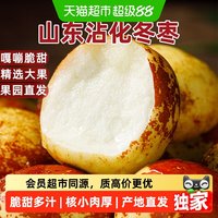 88VIP:末浅 猫超臻选末浅正宗陕西大荔冬枣新鲜应季水果脆甜大枣子产地直发