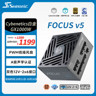 海韵 FOCUS v5 GX 1000W ATX3.1 白金认证 电脑电源