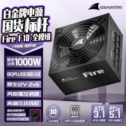 长城 Fire白金全模组 ATX3.1 额定1000W 电脑电源