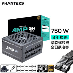 追风者 AMP GH750GW 金牌（90%）全模组ATX电源 850W 黑色