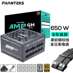 追风者 全模组 机箱电源 蟒纹线 理线梳 U型剪 扎带  650W