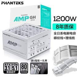 追风者 AMP GH白金牌1200W全模组白色电脑机箱电源(全日系电容/ATX3.1/蟒纹线/支持50系显卡）