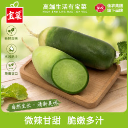 佳农 宝菜 水果萝卜正宗潍坊绿青萝卜脆甜生熟两吃当季新鲜蔬菜 净重5斤
