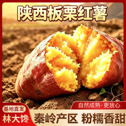 林大 馋陕西正宗板栗红薯蜜薯 现挖粉糯香甜 农家新鲜地瓜番薯蔬菜礼盒 净3斤小果（单果150g以下）  秦岭产地直发-普通人没吃过的品种