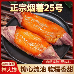 林大 馋 正宗烟薯25号蜜薯红薯 红心糖心流油烤地瓜沙地番薯新鲜蔬菜礼盒 净4.5斤中果(单果150g-400g)