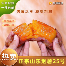 鲁禧海岸 山东烟薯25号 超甜红薯糖心烟薯新鲜番薯 地瓜烤薯农家沙地 中果4.5-5斤