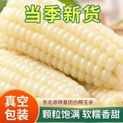 佟小满 老式笨玉米东北白糯玉米 香甜软糯 真空包装 即食健康轻食粗粮 白糯中棒200g*10棒