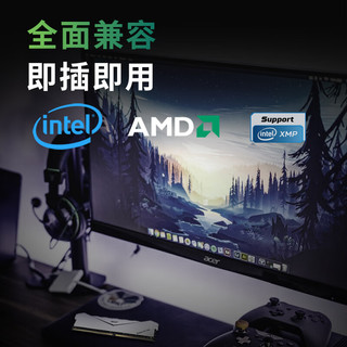 宏碁掠夺者 HT100 DDR4 3200MHz 16GB(8G×2) 炫光银 台式机内存