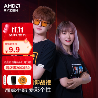 AMD RYZEN 制霸游戏T恤 男女同款 2XL 炫彩文字