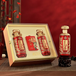 五粮浓香 金支玉液婚宴喜酒  52度 500mL 2瓶 礼盒装节日送礼