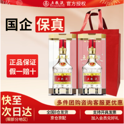 五粮液 52度普五第八代浓香型白酒 52度 500mL 2瓶 （含1个手提袋）
