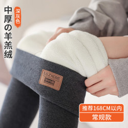 FOURDATRY 2026特厚羊羔绒纯棉打底裤女外穿冬季加绒加厚大码高腰保暖裤Y