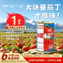 小番喜新疆番茄丁罐头去皮大块切0添加新疆兵团出品优级番茄罐头