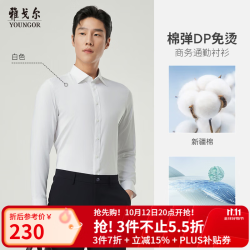 雅戈尔 衬衫男士春夏长袖衬衫棉弹面料免烫衬衫抗皱 漂白VLDD104984BFY 37