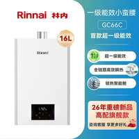 林内 一级能效小蛮腰水伺服冷凝换热燃气热水器GC66C