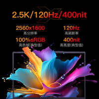 机械革命 无界15X 15.3英寸笔记本电脑 灰色（R7-H255、2.5K 120Hz、16G、1T SSD）