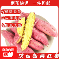 正宗陕西板栗红薯粉糯香甜新鲜现挖红薯京东买菜超市生鲜蔬菜 板栗红薯2斤