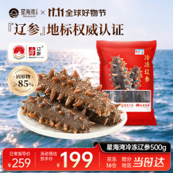 辽参 星海湾 大连冷冻海参 非即食 正宗辽参生鲜 固形物≥85% 1斤/500g 13-17只
