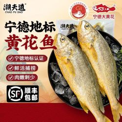 潮夫道 宁德地标黄花鱼正宗特大新鲜海捕大黄鱼冷冻海鲜水产海鱼