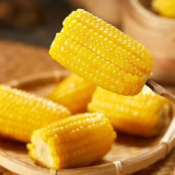 佟创 甜糯即食黄玉米 200g*6棒 真空包装