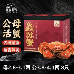鱻谣 大闸蟹 公3.8-4.1两 母2.8-3.1两 4对8只去绳足重 鲜活螃蟹现货 节日送礼