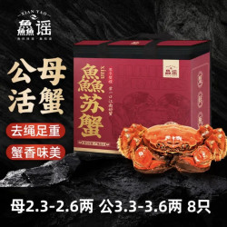 鱻谣 大闸蟹 公3.3-3.6两 母2.3-2.5两 4对8只去绳足重 鲜活螃蟹现货 节日送礼
