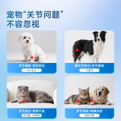 PAVISH帕维诗宠物鲨鱼软骨素日常预防养护狗狗关节折耳猫咪软骨素1瓶