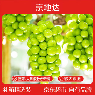 京地达 山东阳光玫瑰葡萄精品净重4.3斤大果12g新鲜青提子源头直发包邮