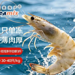 Seamix 厄瓜多尔巨无霸白虾 去冰净重3斤 30-40只/kg 盐冻 烧烤 聚餐