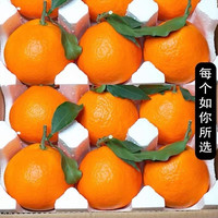 巨无霸 四川眉山 特大果 爱媛38号果冻橙 4.5斤装 单果80-90mm