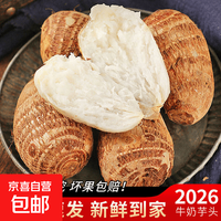 云南新鲜现挖小芋头毛芋头当季蔬菜芋艿软糯香甜早餐 牛奶小芋头2斤含箱