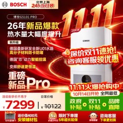 博世 G5100WE 28kW天然气壁挂炉 16L/min