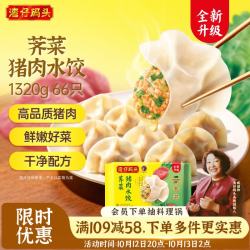 湾仔码头 白菜三鲜猪肉水饺 66只 1.32kg