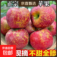 云南冰糖心昭通丑苹果当季红富士水果新鲜孕妇水果产地直发整箱 大果75MM左右 带箱5斤