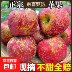 云南冰糖心昭通丑苹果当季红富士水果新鲜孕妇水果产地直发整箱 大果75MM左右 带箱5斤