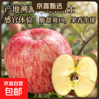 京喜加 正宗山东红富士苹果中果80mm+5斤净重4.5斤 京东快递-更快更好