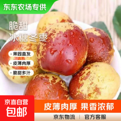 庙上冬枣新鲜水果当季冰糖超甜枣子脆枣鲜枣青枣 皮薄肉厚8g+带箱1斤